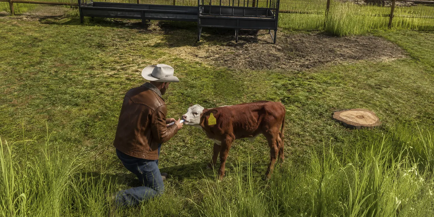 Ranch Gallery